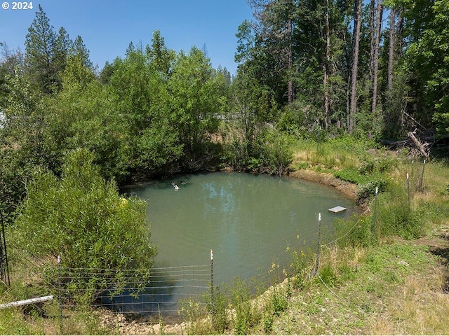 view of water feature