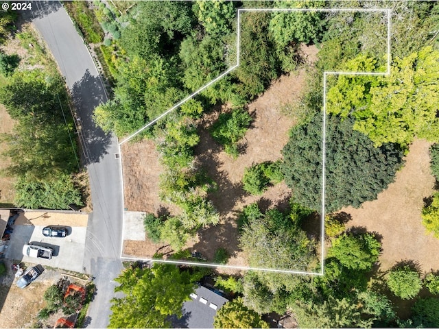 6233 SW Hamilton Way, Portland OR, 97221 land for sale