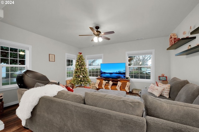 living room featuring a wealth of natural light, ceiling fan, and dark hardwood / wood-style floors