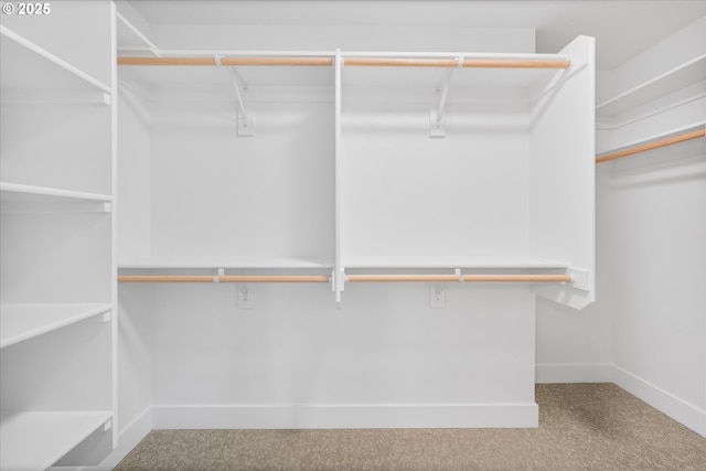 1218 9th St Lot 3, West Linn, OR 97068 - spacious closet with carpet floors