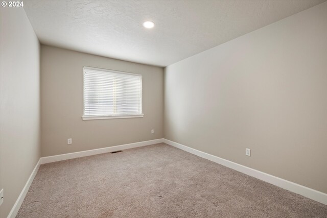 empty room featuring light carpet and a textured ceiling