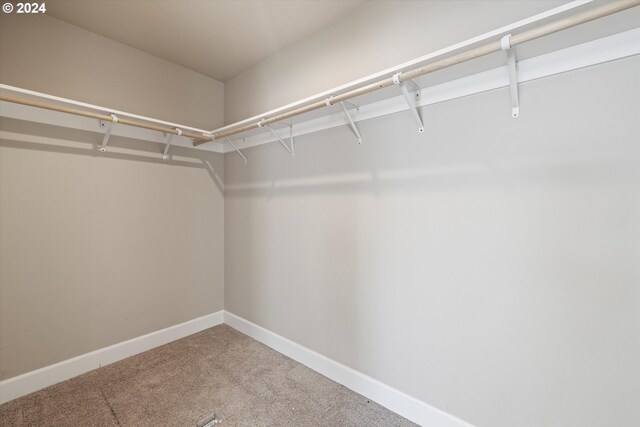 spacious closet featuring carpet flooring