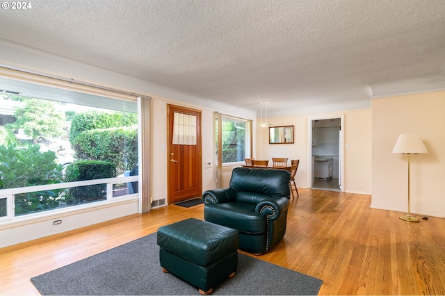 living room with a textured ceiling and light hardwood / wood-style flooring