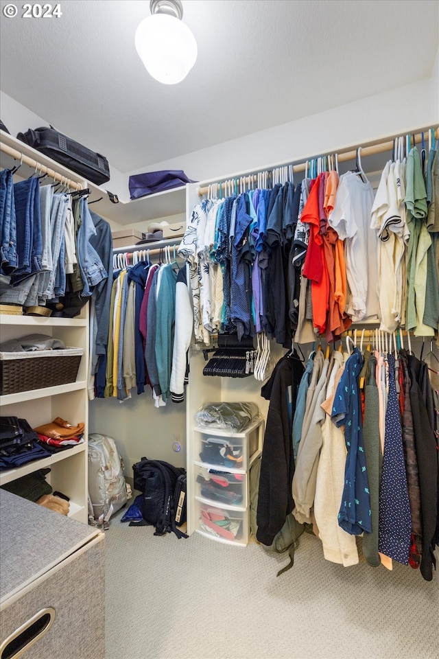 walk in closet featuring carpet floors