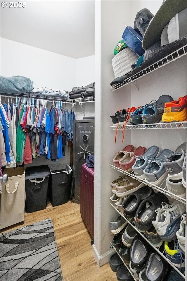 walk in closet featuring hardwood / wood-style flooring