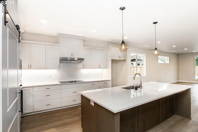 kitchen featuring black electric cooktop, under cabinet range hood, wood finished floors, a sink, and decorative backsplash