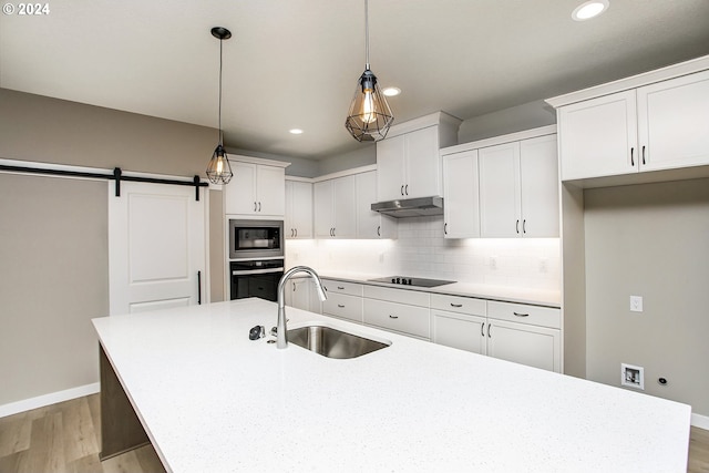 kitchen featuring a barn door, oven, under cabinet range hood, a sink, and built in microwave