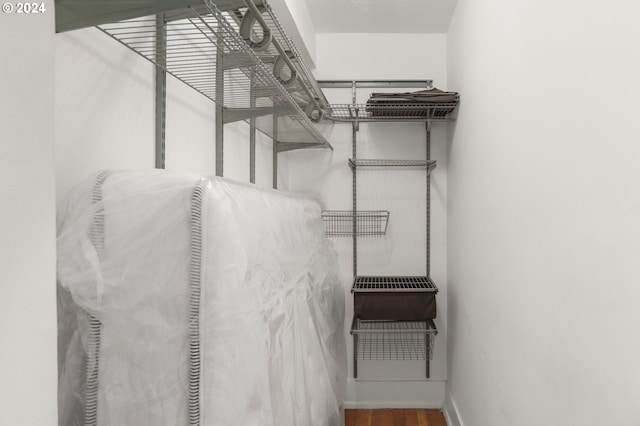 walk in closet featuring wood-type flooring