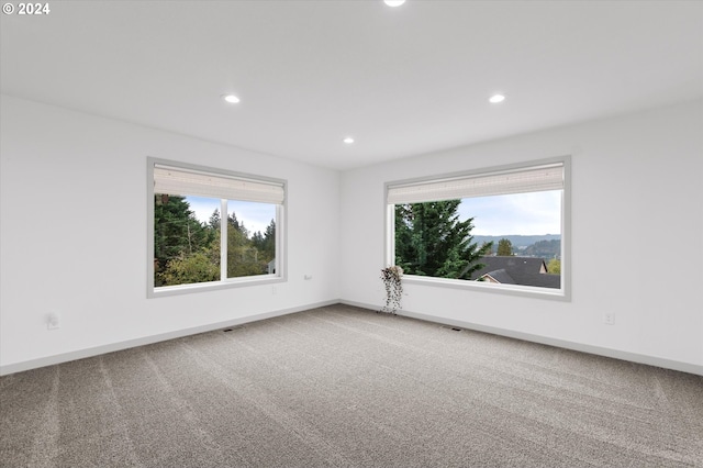 carpeted empty room with plenty of natural light