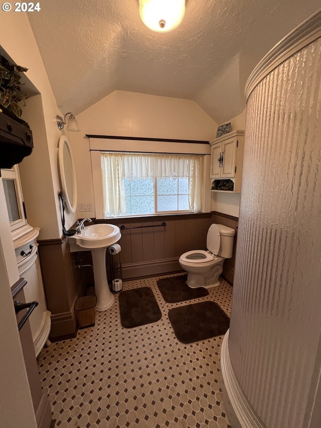 bathroom featuring toilet, a sink, vaulted ceiling, and a textured ceiling