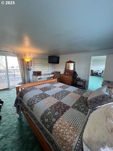 bedroom with access to exterior, carpet, and a textured ceiling