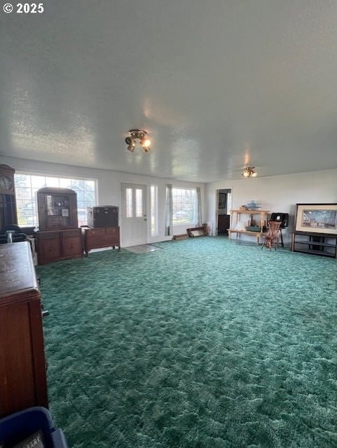 unfurnished living room with a wealth of natural light, carpet, and a textured ceiling