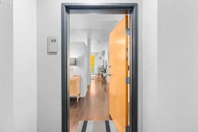 hallway featuring wood-type flooring