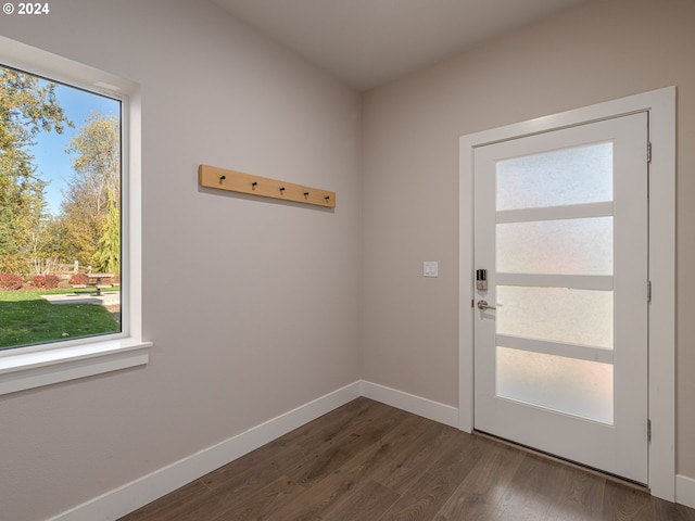 doorway to outside with dark wood-type flooring