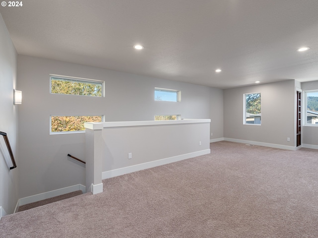 basement with carpet