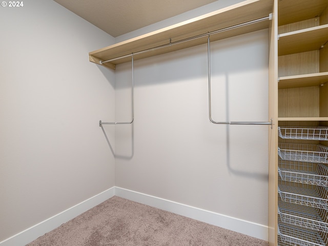 walk in closet with carpet floors