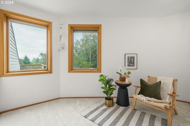 sitting room with baseboards and carpet floors