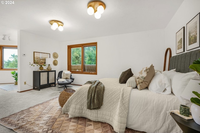 bedroom with multiple windows, baseboards, and carpet floors