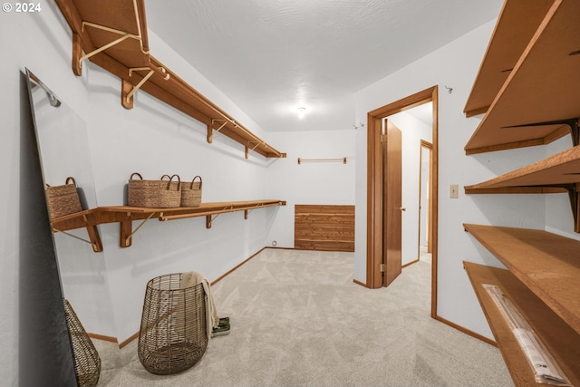 spacious closet with light colored carpet