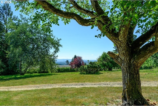 26231 SW Thunderhead Ln, Sheridan, OR 97378 - view of grassy yard
