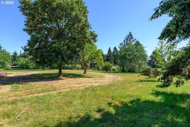 26231 SW Thunderhead Ln, Sheridan, OR 97378 - view of green lawn