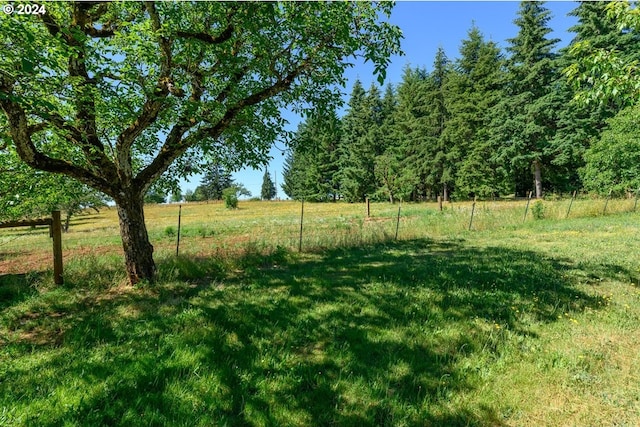 26231 SW Thunderhead Ln, Sheridan, OR 97378 - view of grassy yard featuring a view of rural / pastoral area
