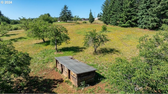 26231 SW Thunderhead Ln, Sheridan, OR 97378 - view of yard featuring a view of rural / pastoral area