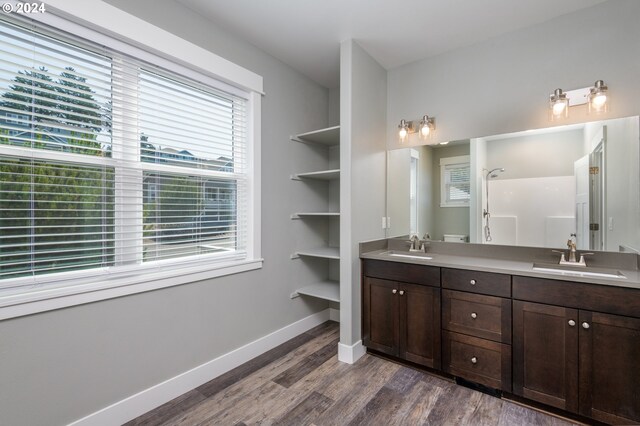 bathroom with hardwood / wood-style floors and vanity