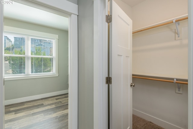 walk in closet with hardwood / wood-style flooring