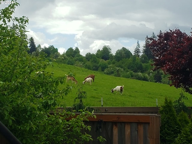 view of yard featuring a rural view