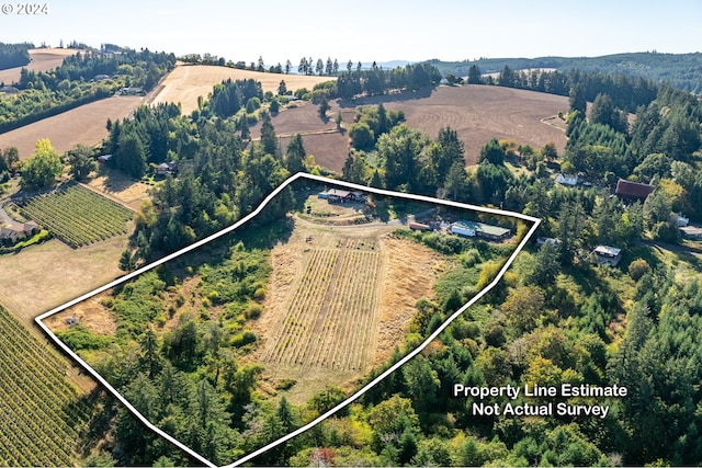 birds eye view of property featuring a rural view