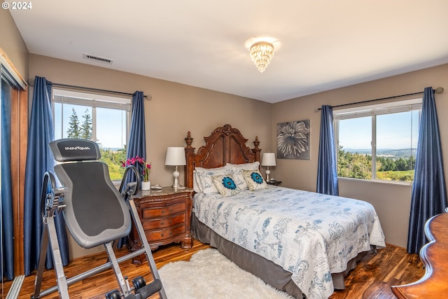 bedroom with dark hardwood / wood-style floors and multiple windows