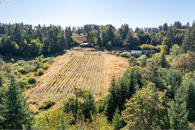 drone / aerial view with a rural view