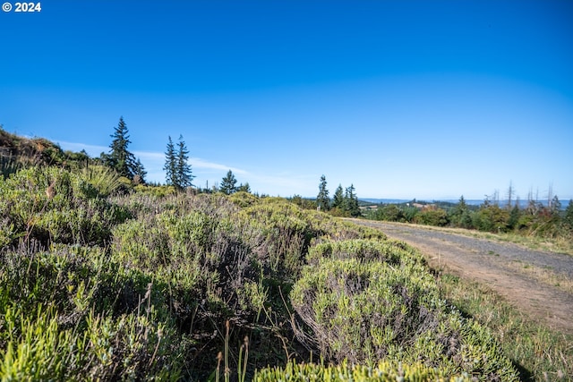 view of road with a rural view