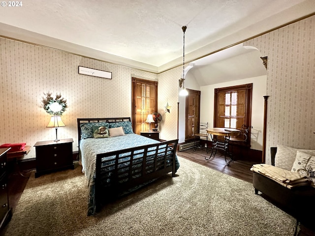 bedroom featuring dark wood-type flooring and lofted ceiling