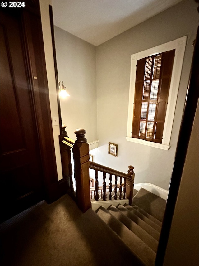 staircase with carpet floors