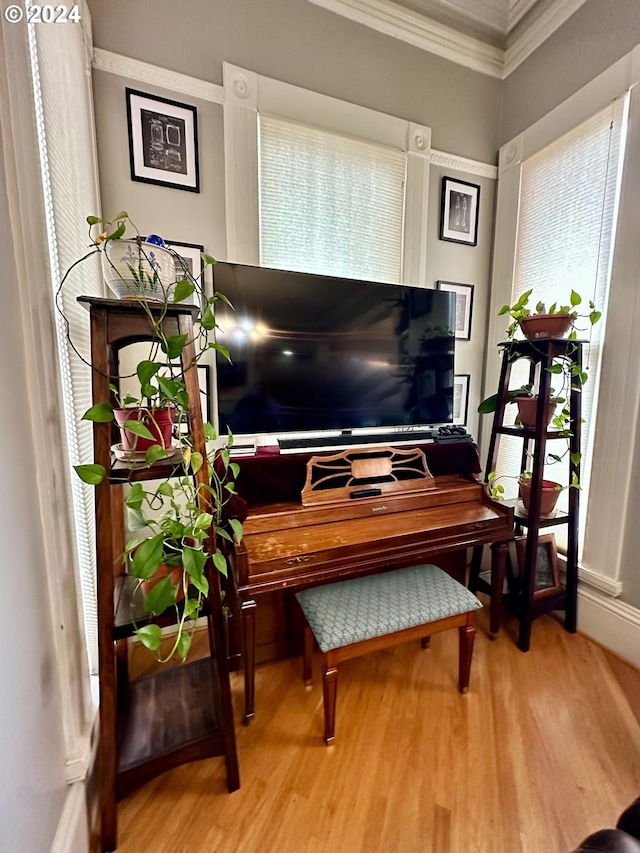 miscellaneous room with wood-type flooring and ornamental molding