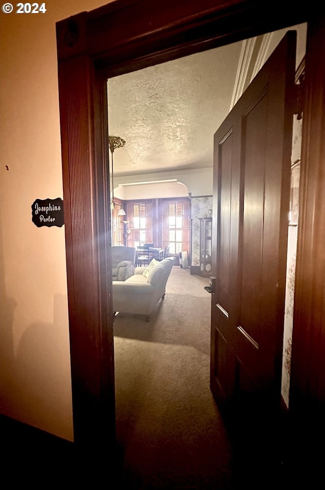 hallway featuring carpet floors and a textured ceiling