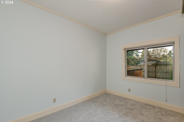 carpeted empty room featuring a textured ceiling and crown molding