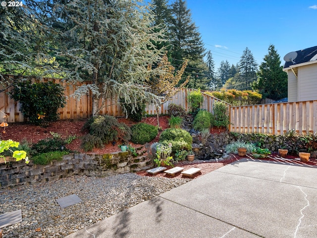 view of yard featuring a patio area