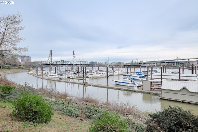 dock area with a water view