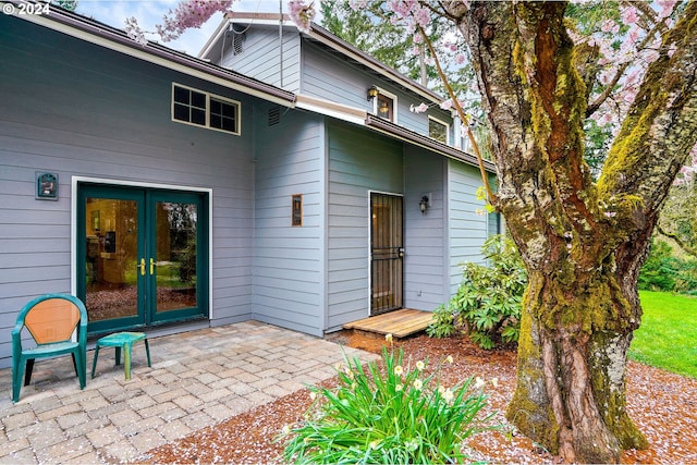 back of property with french doors and a patio area