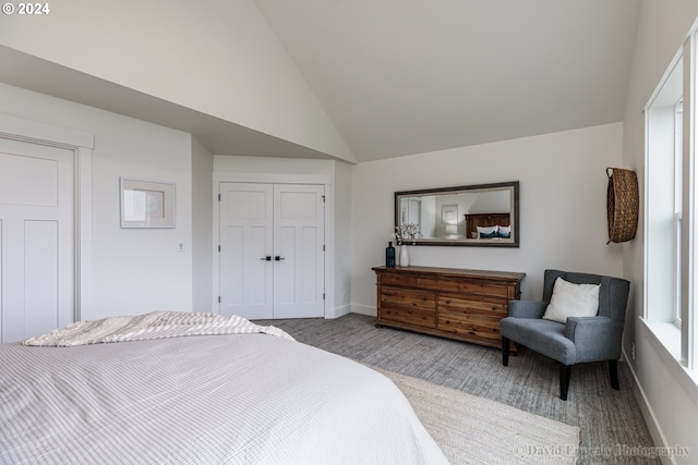 carpeted bedroom featuring a closet and high vaulted ceiling