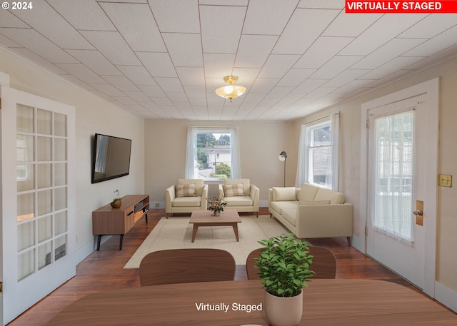 living room with wood-type flooring