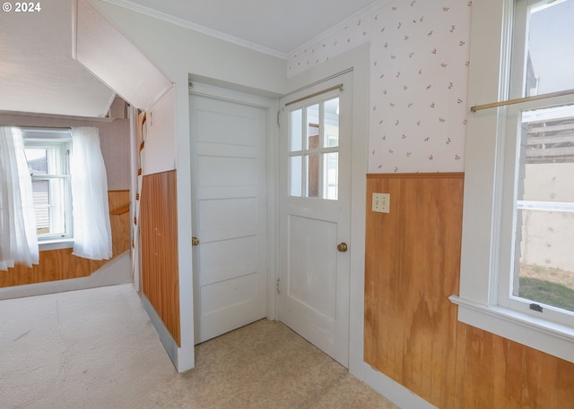 doorway featuring crown molding, wood walls, and light carpet