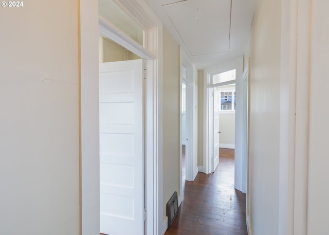 hallway with dark wood-type flooring