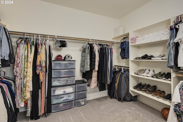 spacious closet featuring carpet