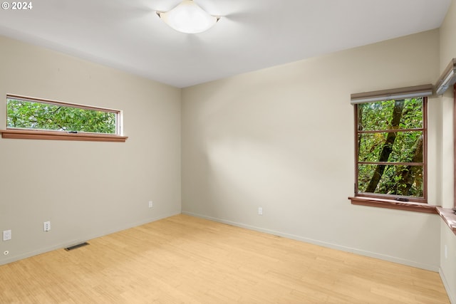 empty room with light hardwood / wood-style flooring and a wealth of natural light