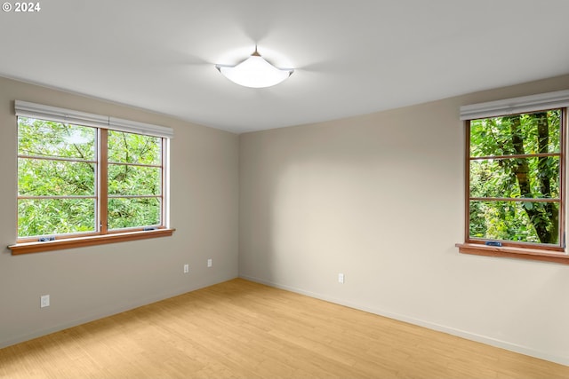 spare room featuring light wood-type flooring and plenty of natural light