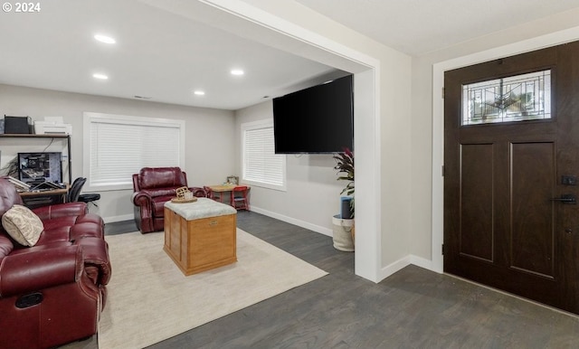 living room with dark wood-type flooring